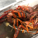Image for article titled Last Call: Gather 'round kids, let me tell you a crawfish story